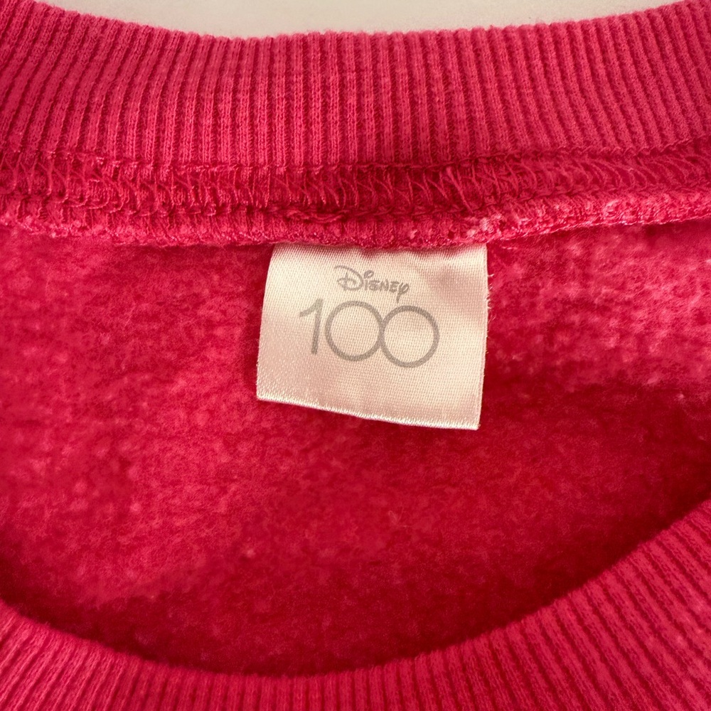 Disney Princess Pink Sweatshirt Adult-Small - Picture 4 of 8